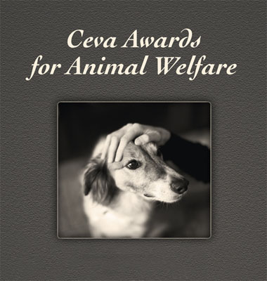 Ceva Awards logo